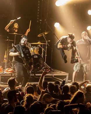 Apes of the State Richmond