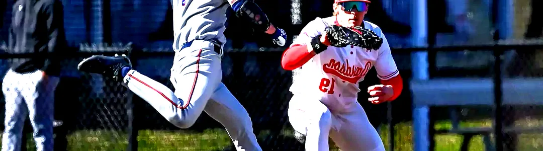 Davidson Wildcats Baseball