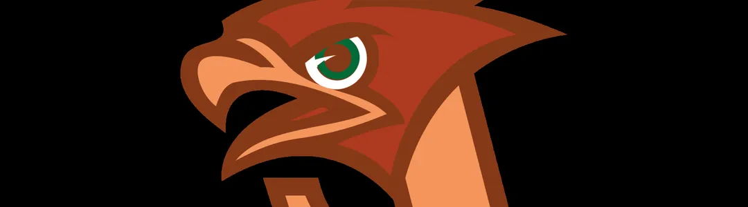 Lehigh Mountain Hawks