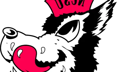 North Carolina State Wolfpack