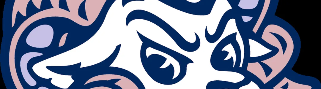 North Carolina Tar Heels