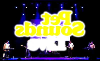 Pet Sounds Live