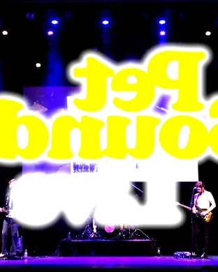 Pet Sounds Live