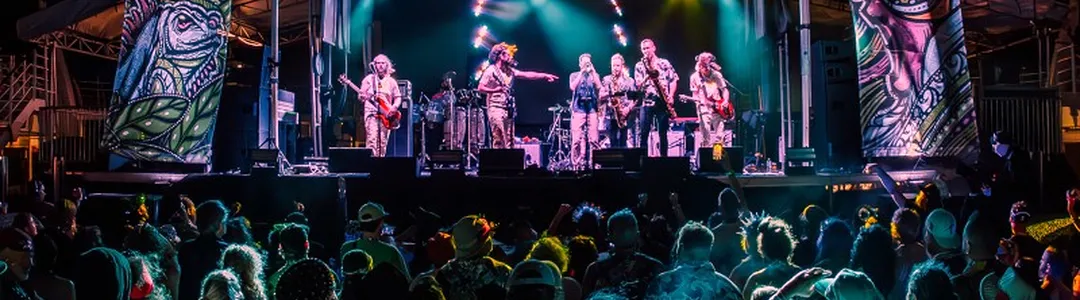 Pigeons Playing Ping Pong