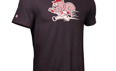 Richmond Flying Squirrels