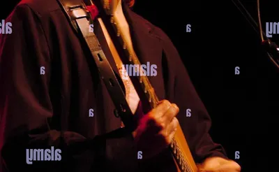 Suzanne Vega