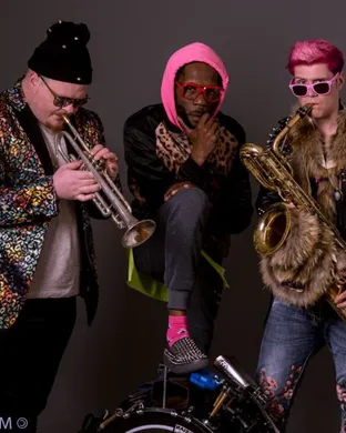 Too Many Zooz