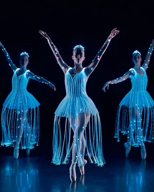 We Call It Ballet: Sleeping Beauty Dance and Light Show