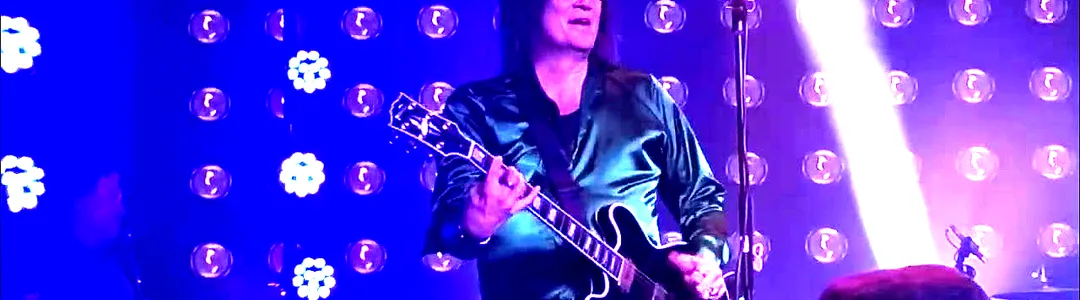 Wilder Horses - Rolling Stones Tribute