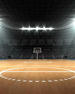 Davidson Wildcats Women's Basketball