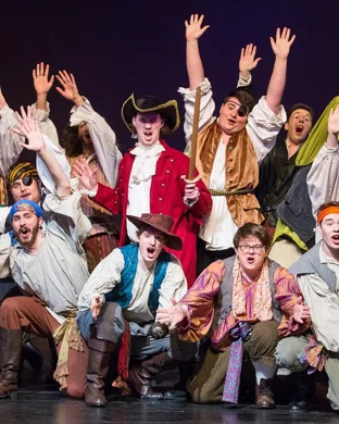 The Outsiders theatre performance